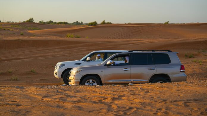 Best road trip SUVs parked on a scenic road, ideal for comfortable and adventurous travel.