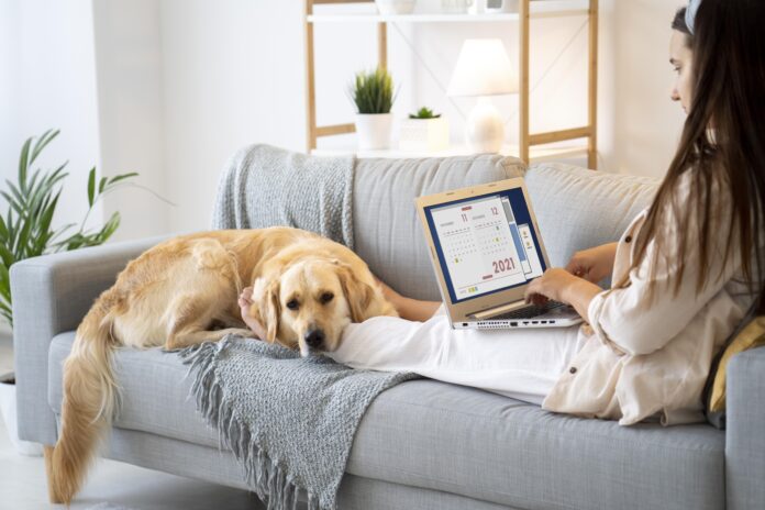 A smart home setup for pets featuring automatic feeders, pet cameras, and climate control to ensure pet comfort and safety.