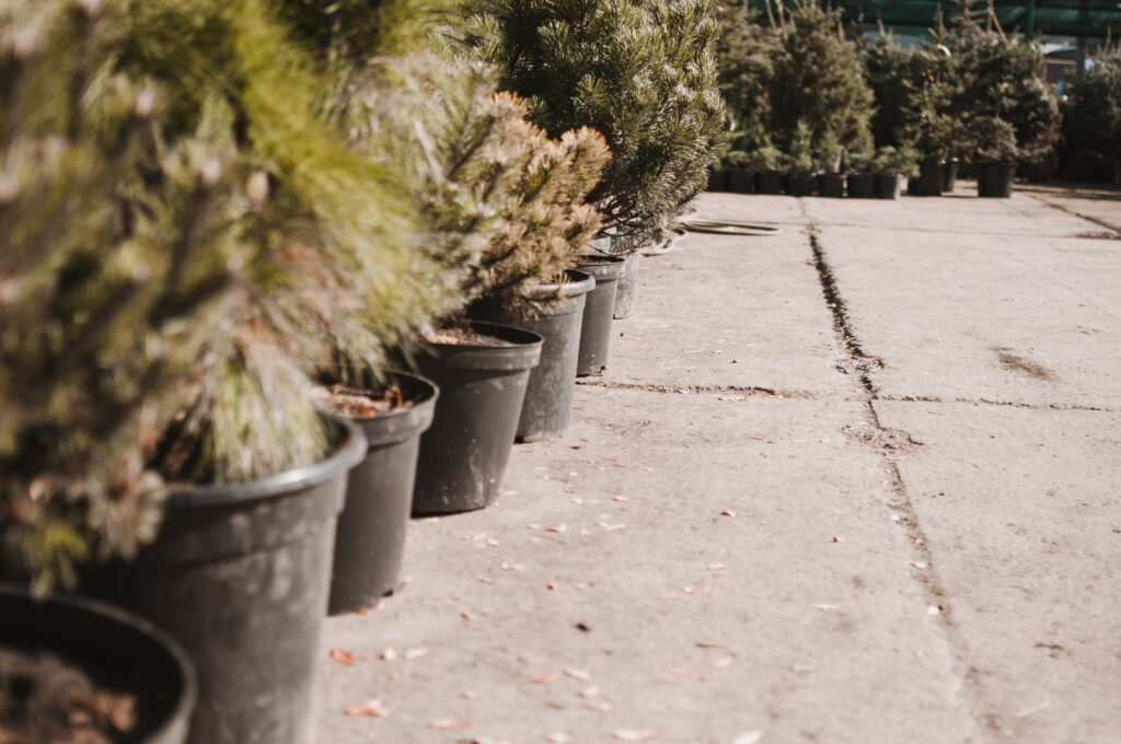 DIY Garden Pathways