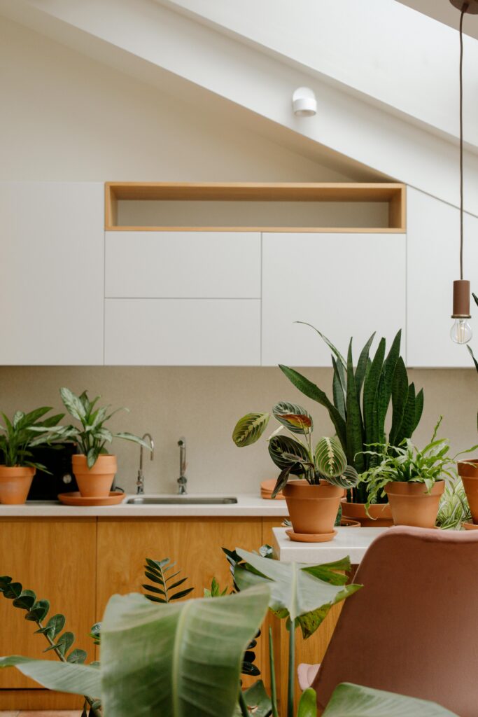 Sustainable Cabinetry